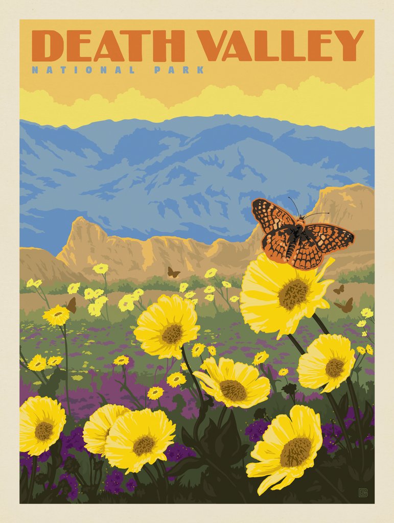 Death Valley National Park: Wildflowers - Postcards - Artwork