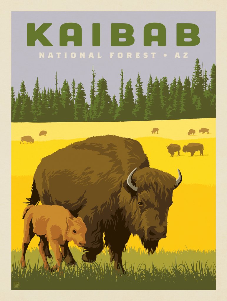 Kaibab National Forest - Metal Sign - Artwork