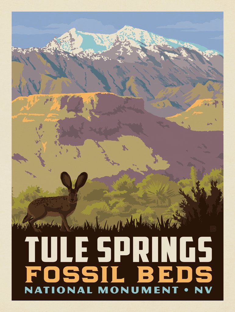 Tule Springs Fossil Beds National Monument, NV - Canvas - Artwork