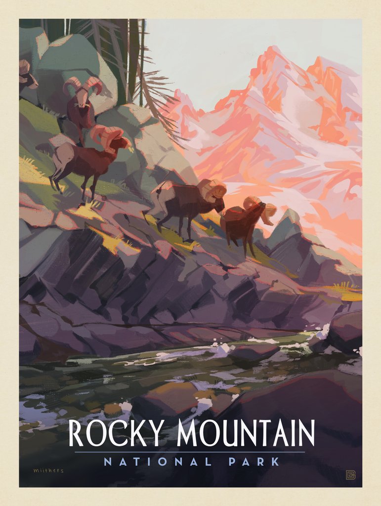 Rocky Mountain National Park: Bighorn Sheep Herd - Postcards - Artwork