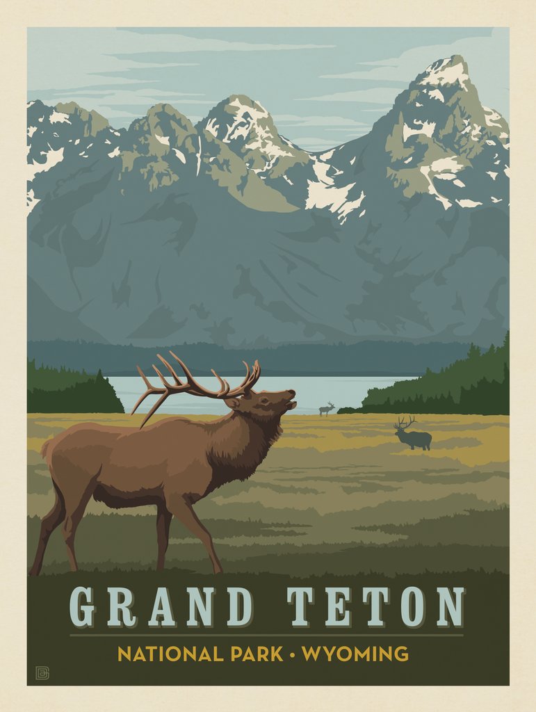 Grand Teton National Park: Elk - Art Print - Artwork