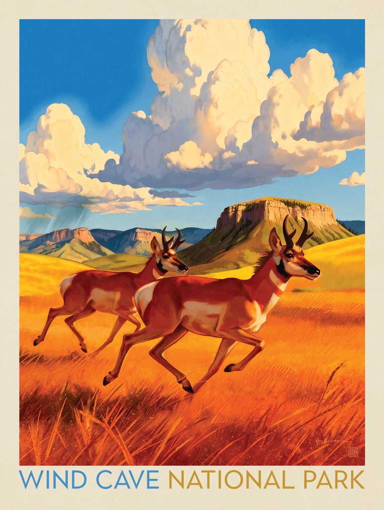 Wind Cave National Park: Antelope At Play - Metal Sign - Artwork