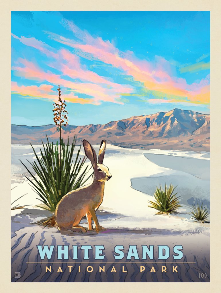 White Sands National Park: Jack Rabbit - Canvas - Artwork