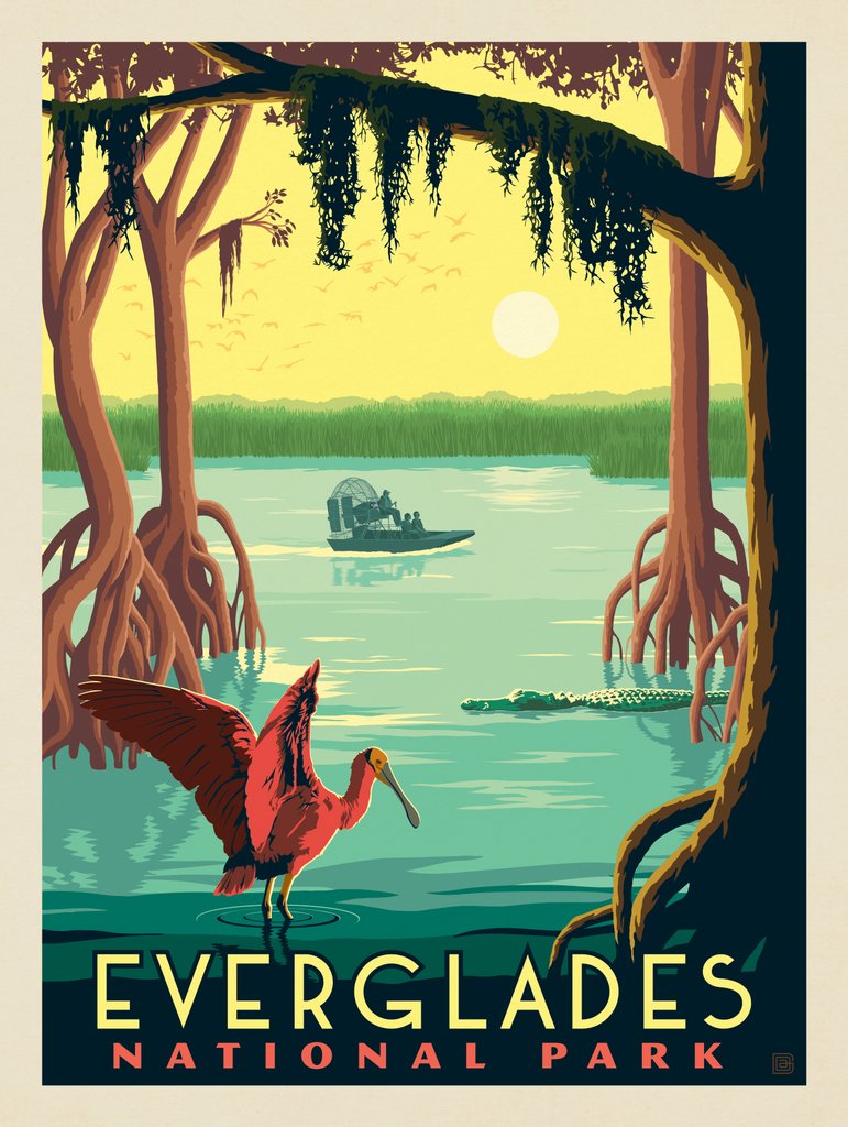 Everglades National Park: Roseate Spoonbill - Canvas - Artwork
