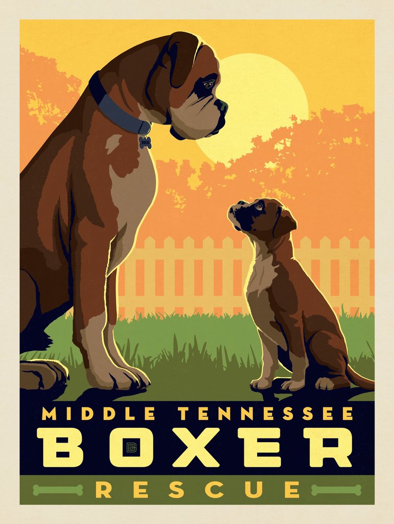 Middle Tennessee Boxer Rescue Fundraiser Print #2 (Best Buddies) - Postcards - Artwork