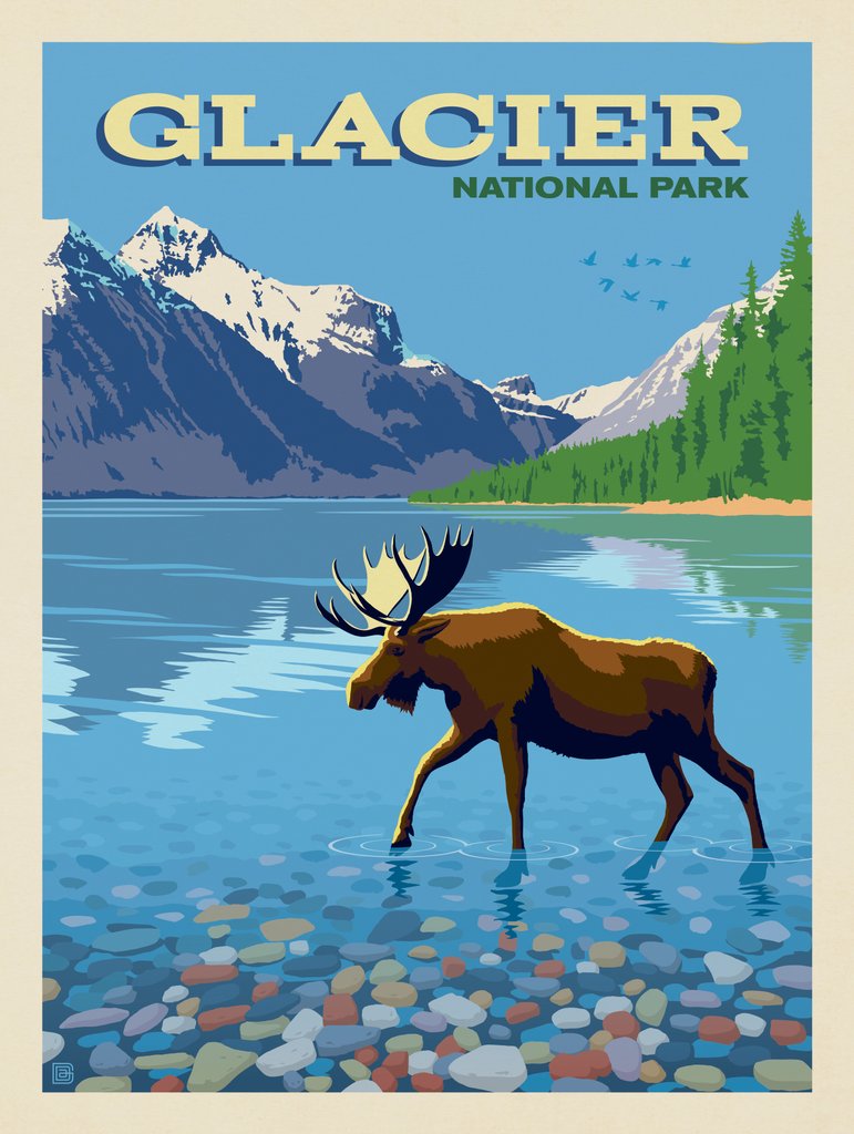 Glacier National Park: Moose - Art Print - Artwork