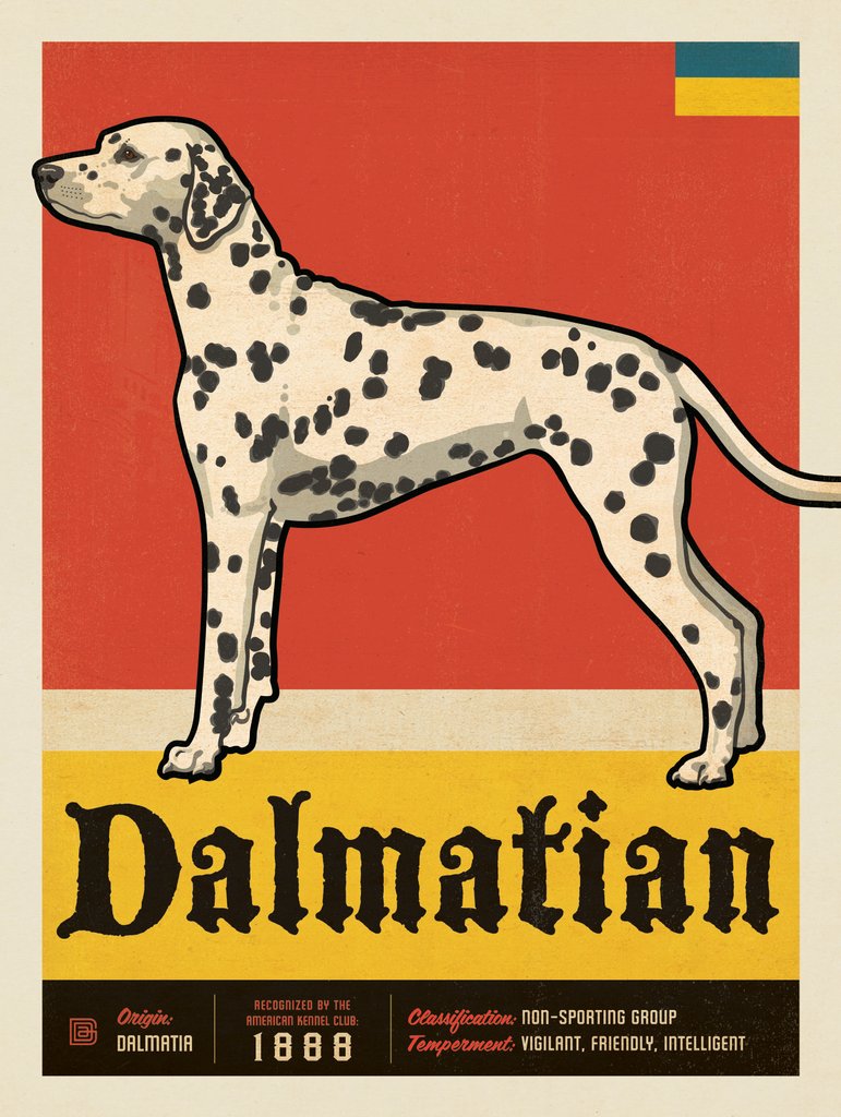 Dalmatian - Canvas - Artwork