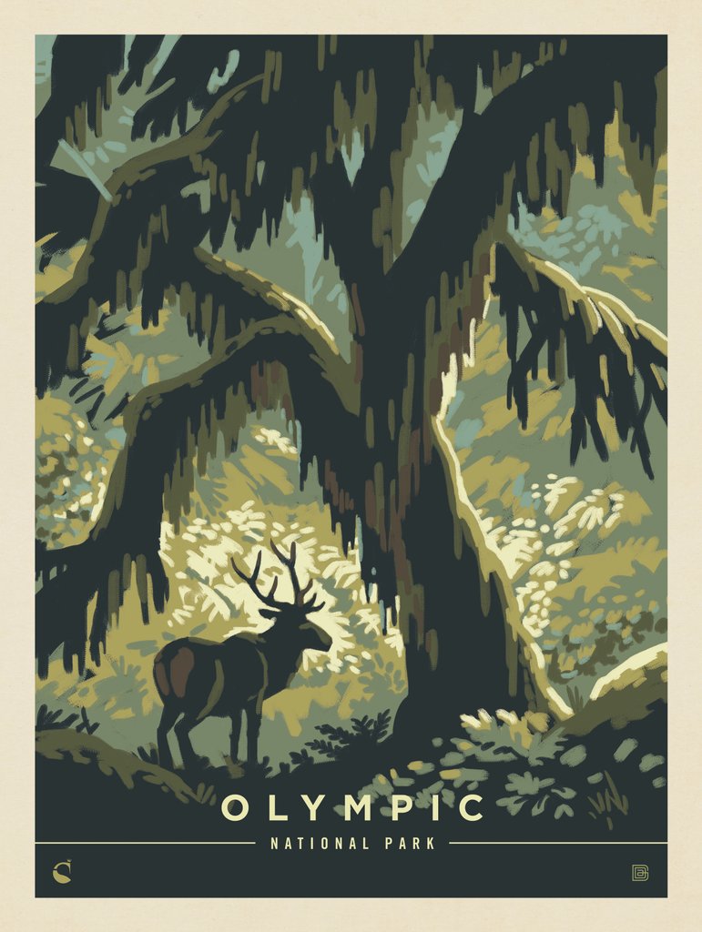 Olympic National Park: Deep In The Forest - Metal Sign - Artwork
