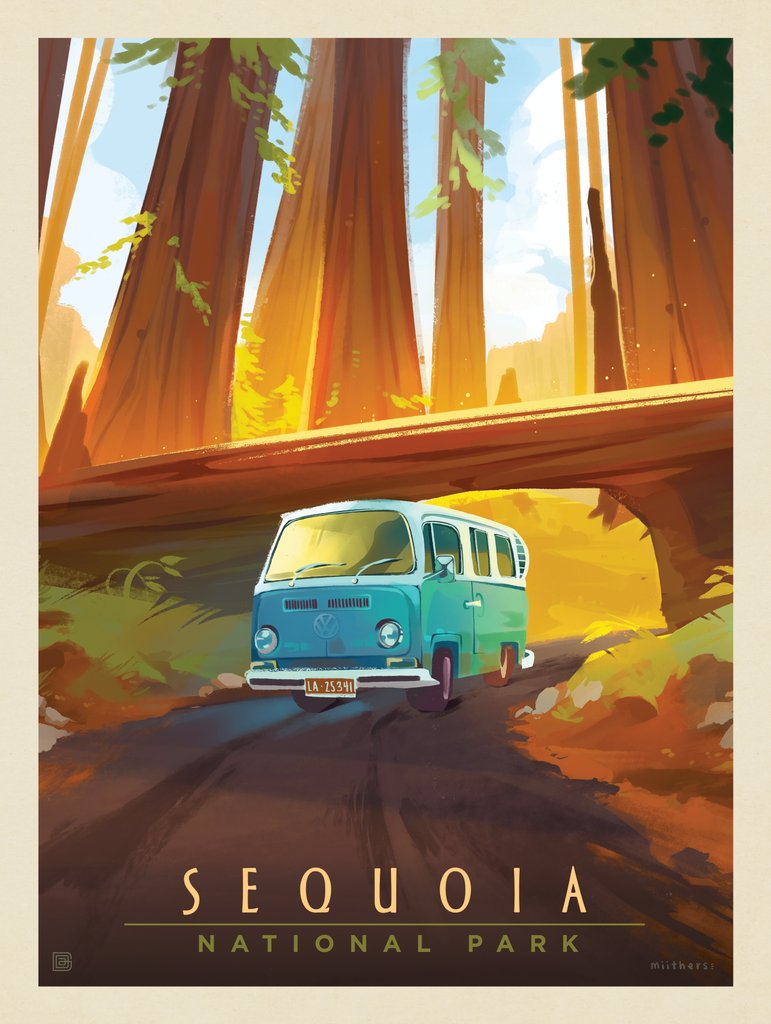 Sequoia National Park: Through The Trees - Notecards - Artwork