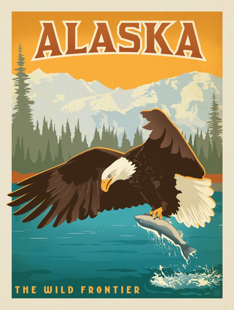 Alaska: Eagle - Notecards - Artwork