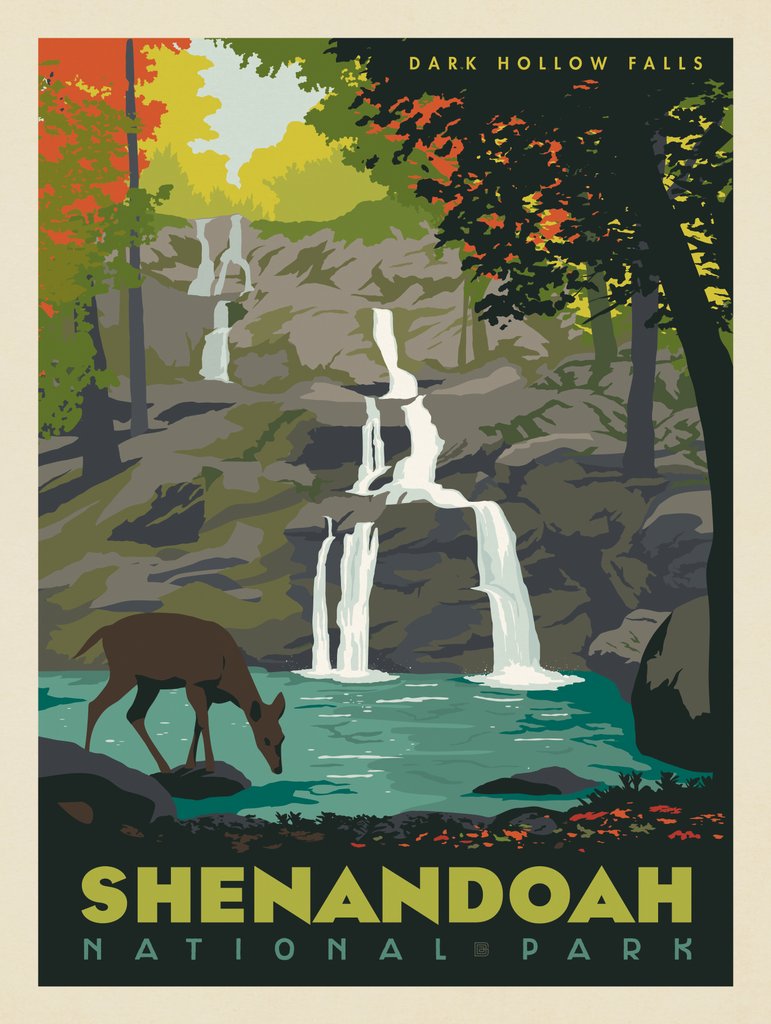 Shenandoah National Park: Dark Hollow Falls - Postcards - Artwork