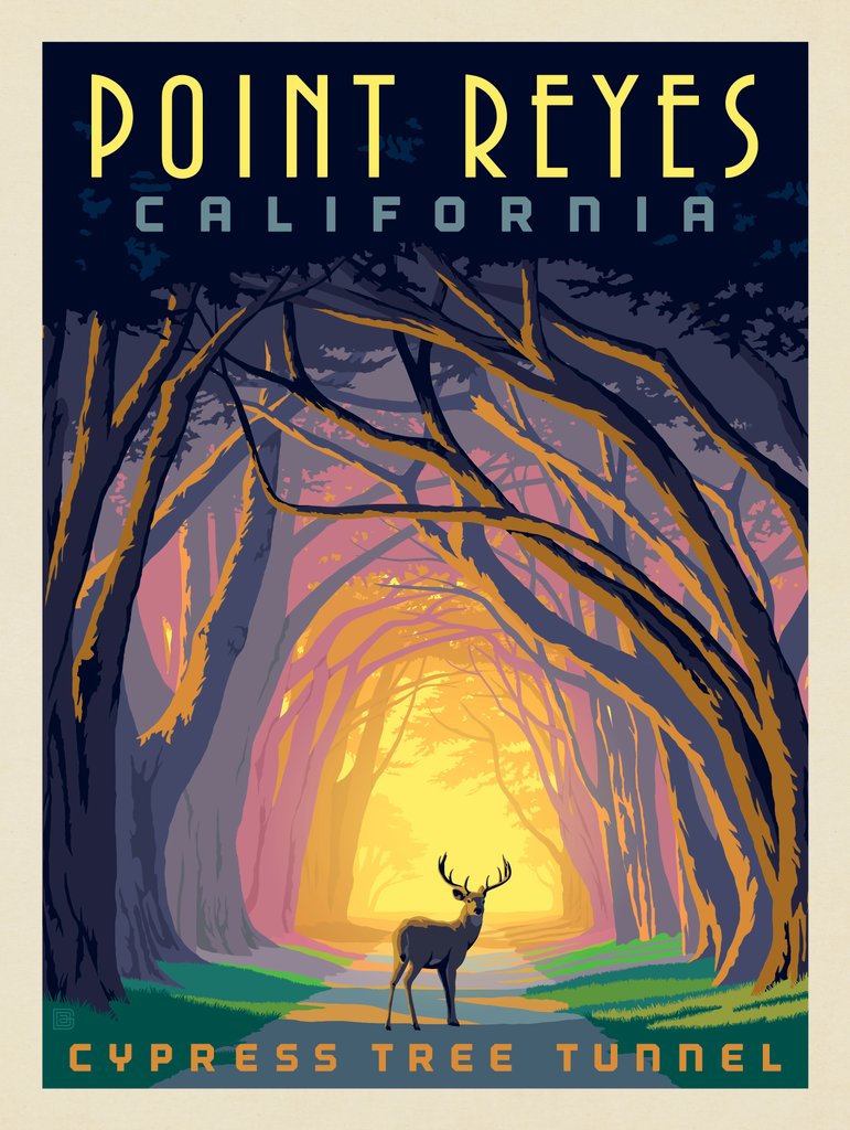 Point Reyes, CA: Cypress Tunnel - Metal Sign - Artwork