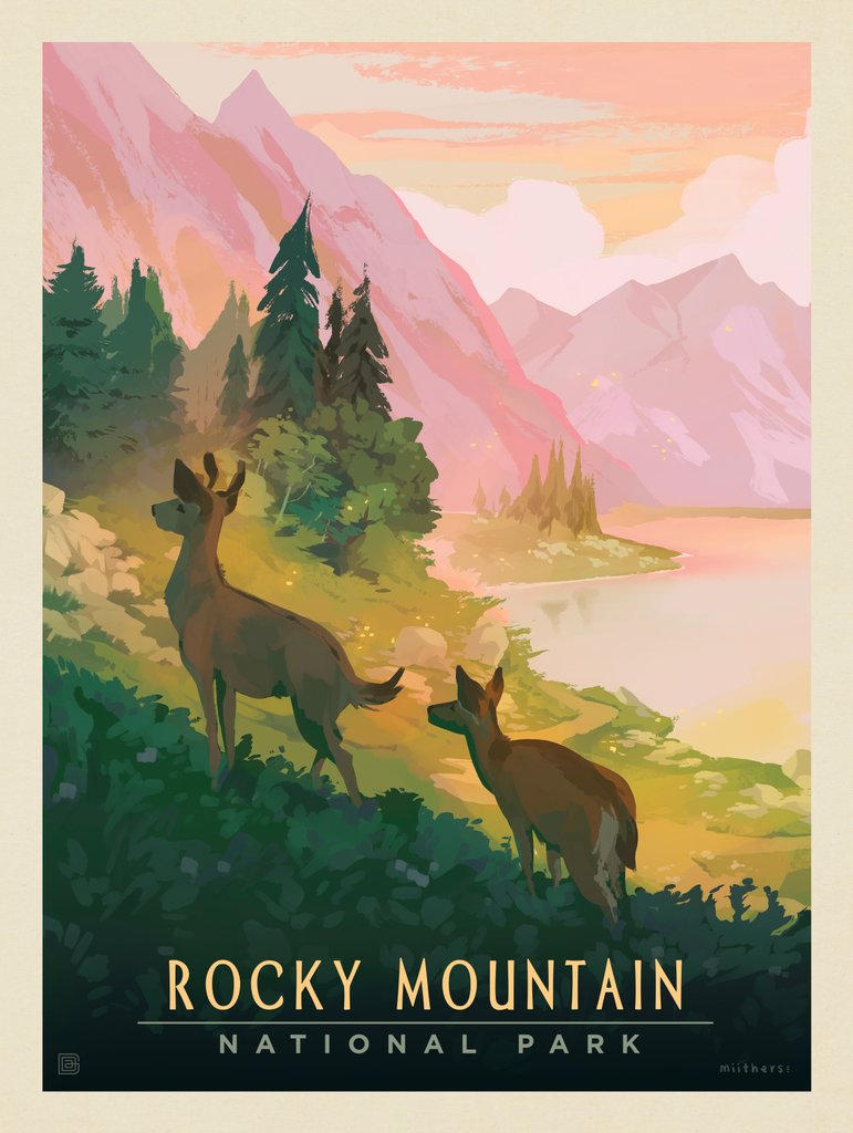 Rocky Mountain National Park: Deer - Art Print - Artwork