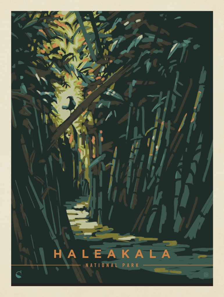 Haleakala National Park: Tropical Shade - Postcards - Artwork