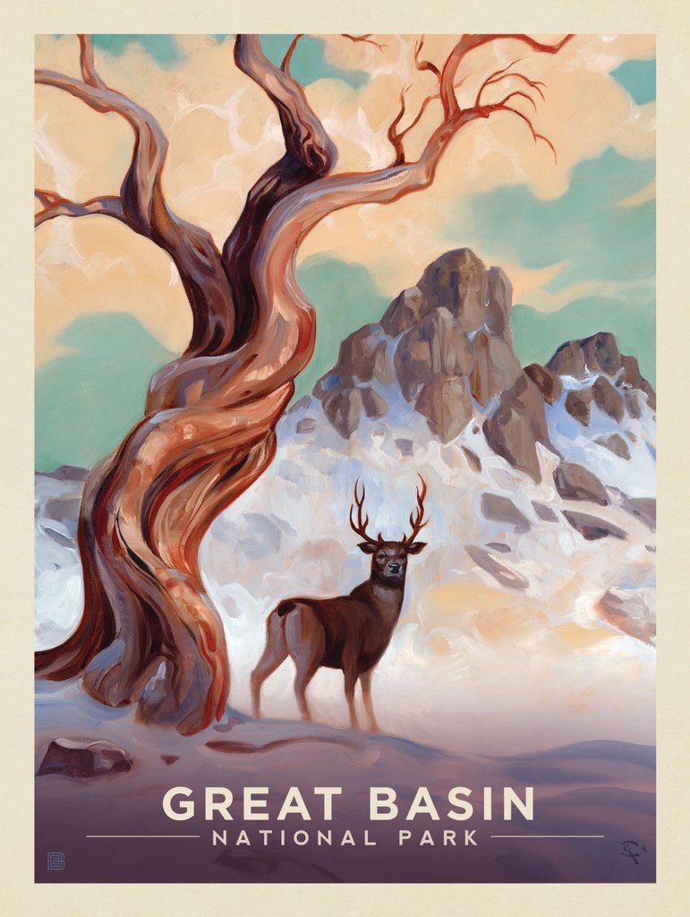 Great Basin National Park: Bristlecone Pine - Canvas - Artwork