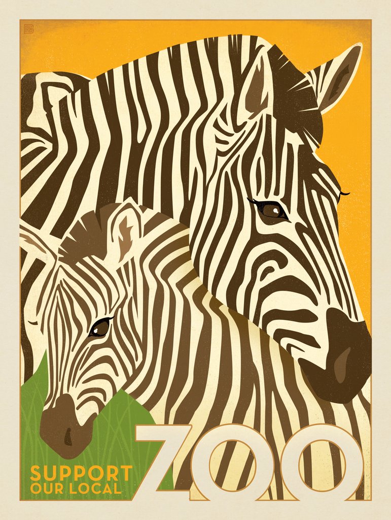 Zoo: Zebras - Notecards - Artwork