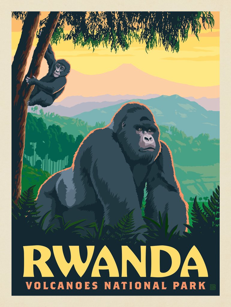 Rwanda, Africa: Volcanoes National Park - Notecards - Artwork