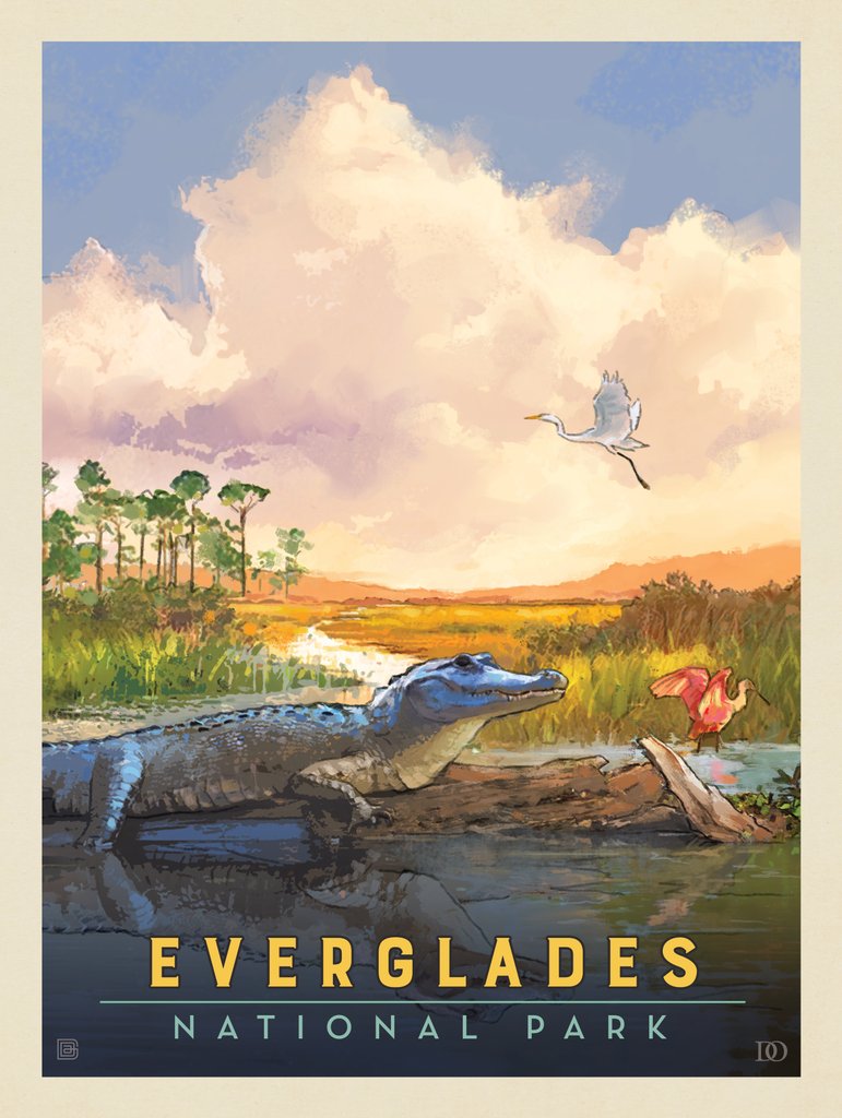 Everglades National Park: Sunbathing - Notecards - Artwork