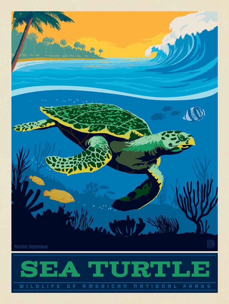 National Parks Wildlife: Sea Turtle - Metal Sign - Artwork