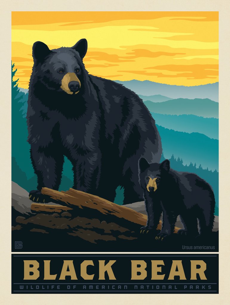 National Parks Wildlife: Black Bear - Metal Sign - Artwork