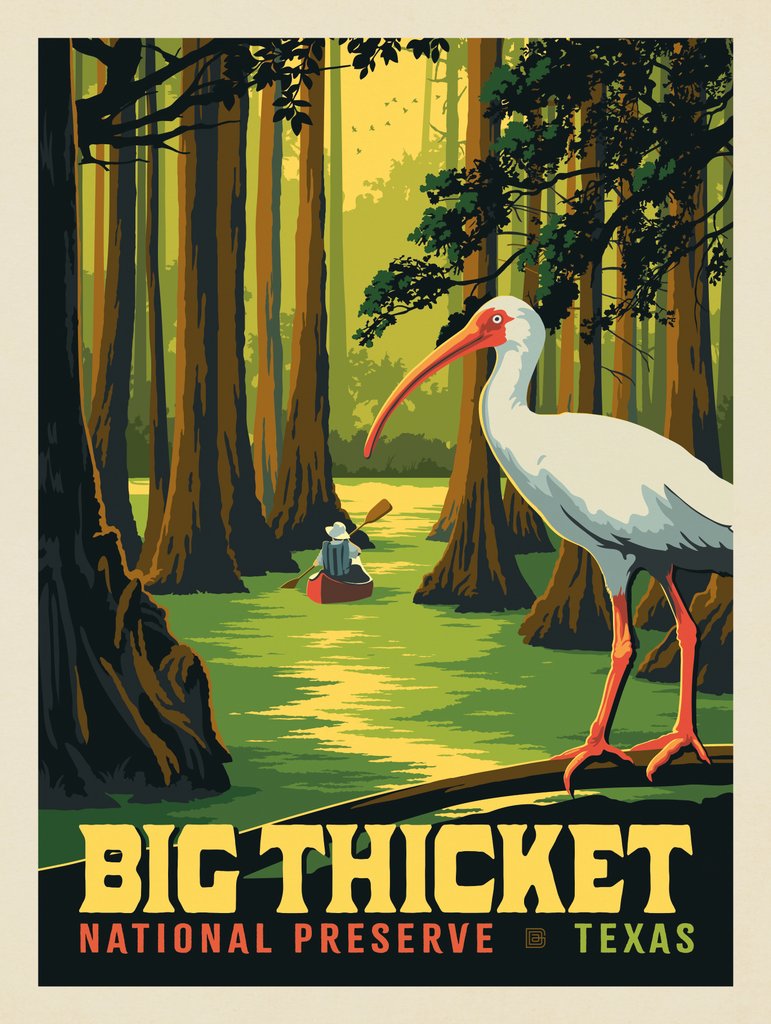 Big Thicket National Preserve, TX - Notecards - Artwork