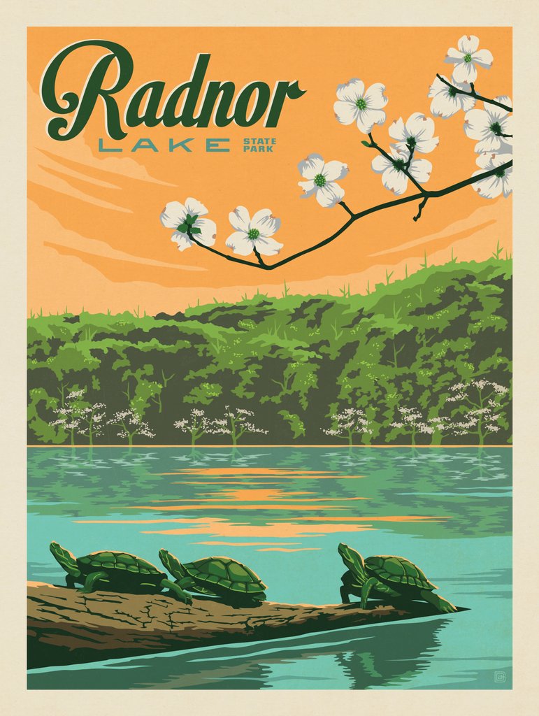 Radnor Lake: Spring Turtles - Art Print - Artwork