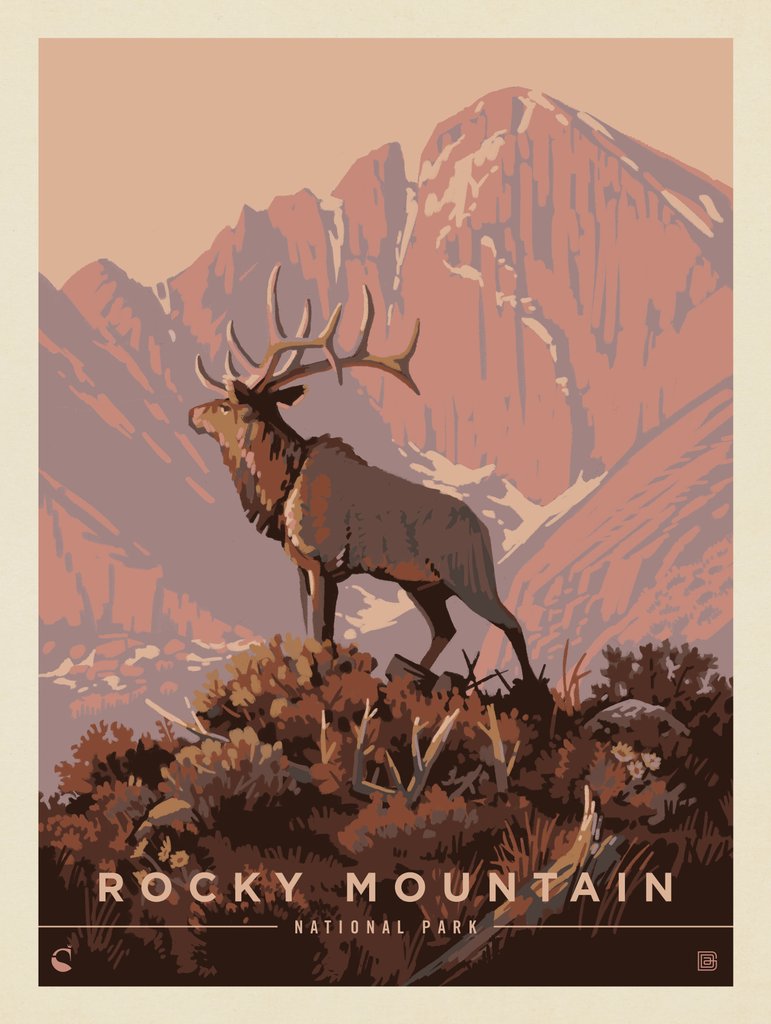 Rocky Mountain National Park: Lone Elk - Art Print - Artwork