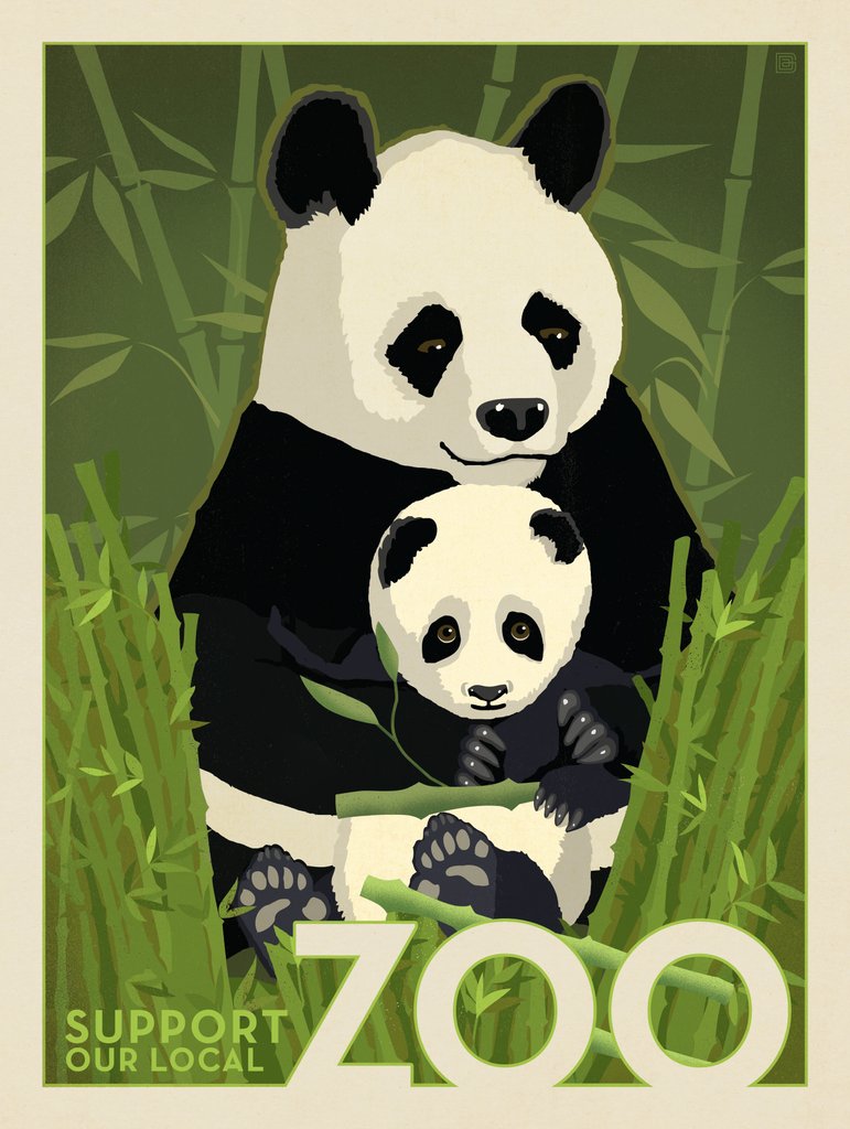 Zoo: Pandas - Postcards - Artwork