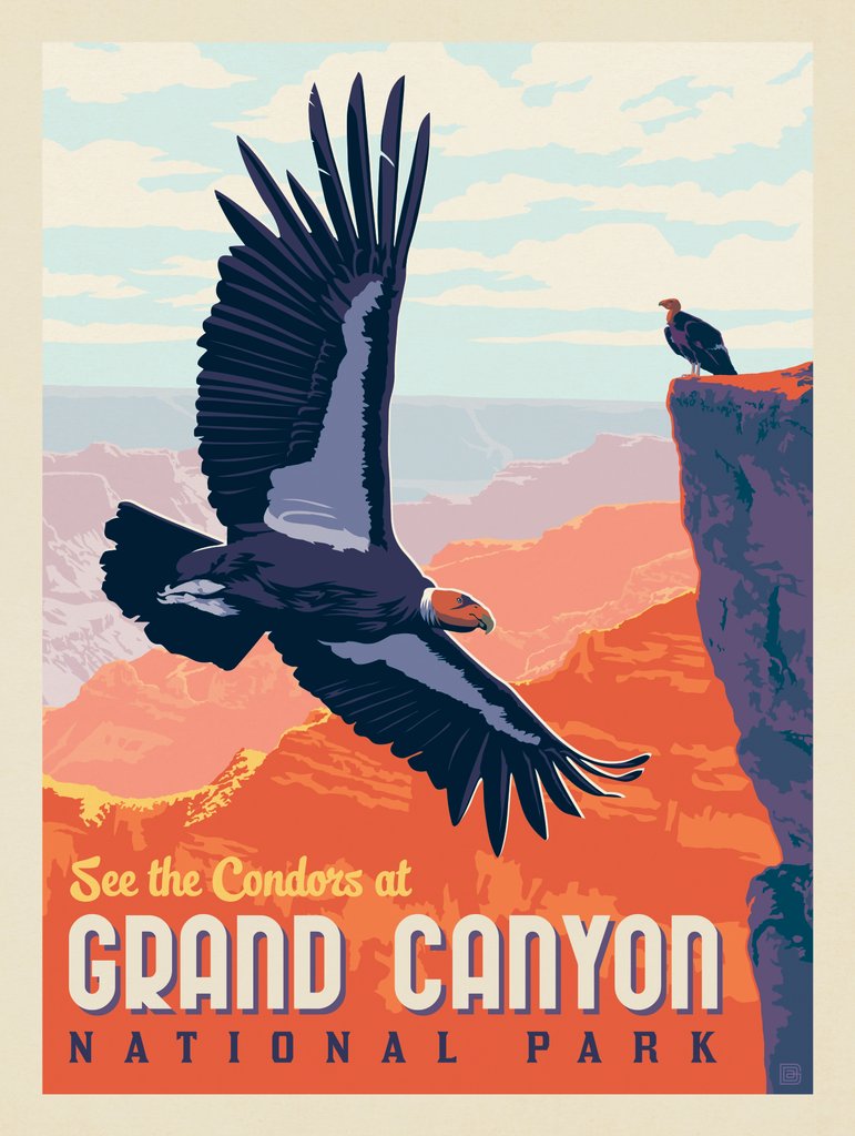 Grand Canyon National Park: Condors - Art Print - Artwork