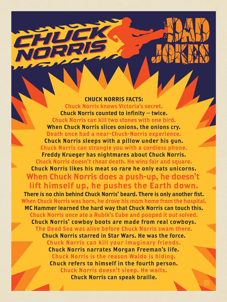 Dad Jokes: Chuck Norris Facts - Canvas - Artwork
