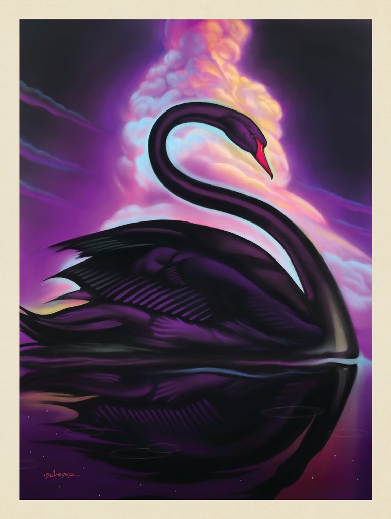 Pastel Painting: Black Beauty (Swan) - Notecards - Artwork