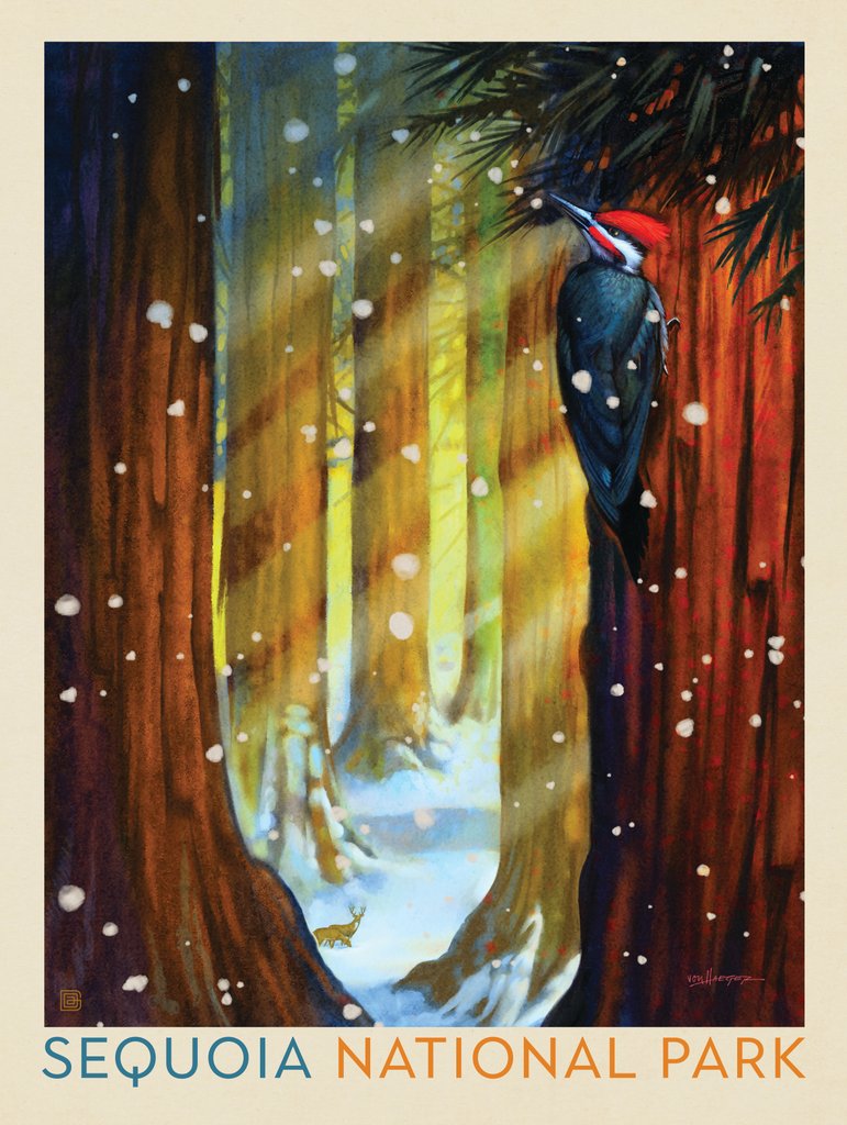 Sequoia National Park: Winter Wonderland - Canvas - Artwork
