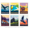 2024 Wall Calendar: National Parks Wildlife