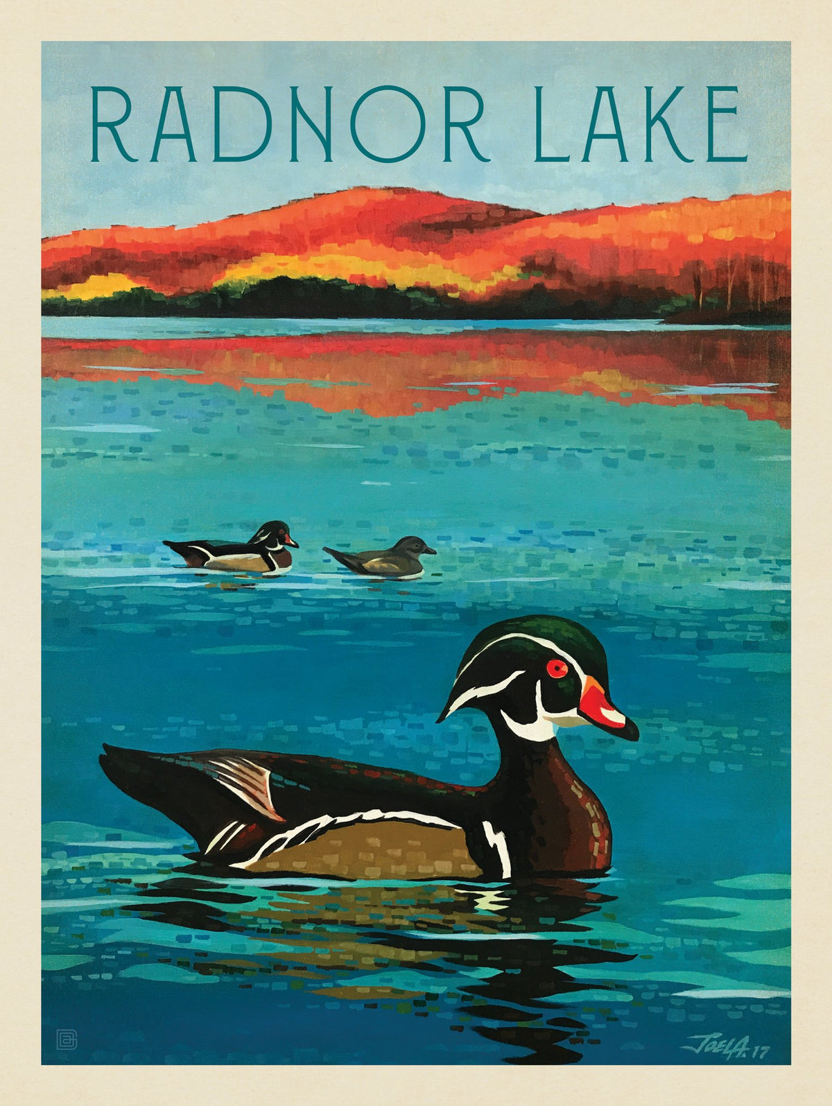 Radnor Lake: Wood Duck - Puzzle - Artwork