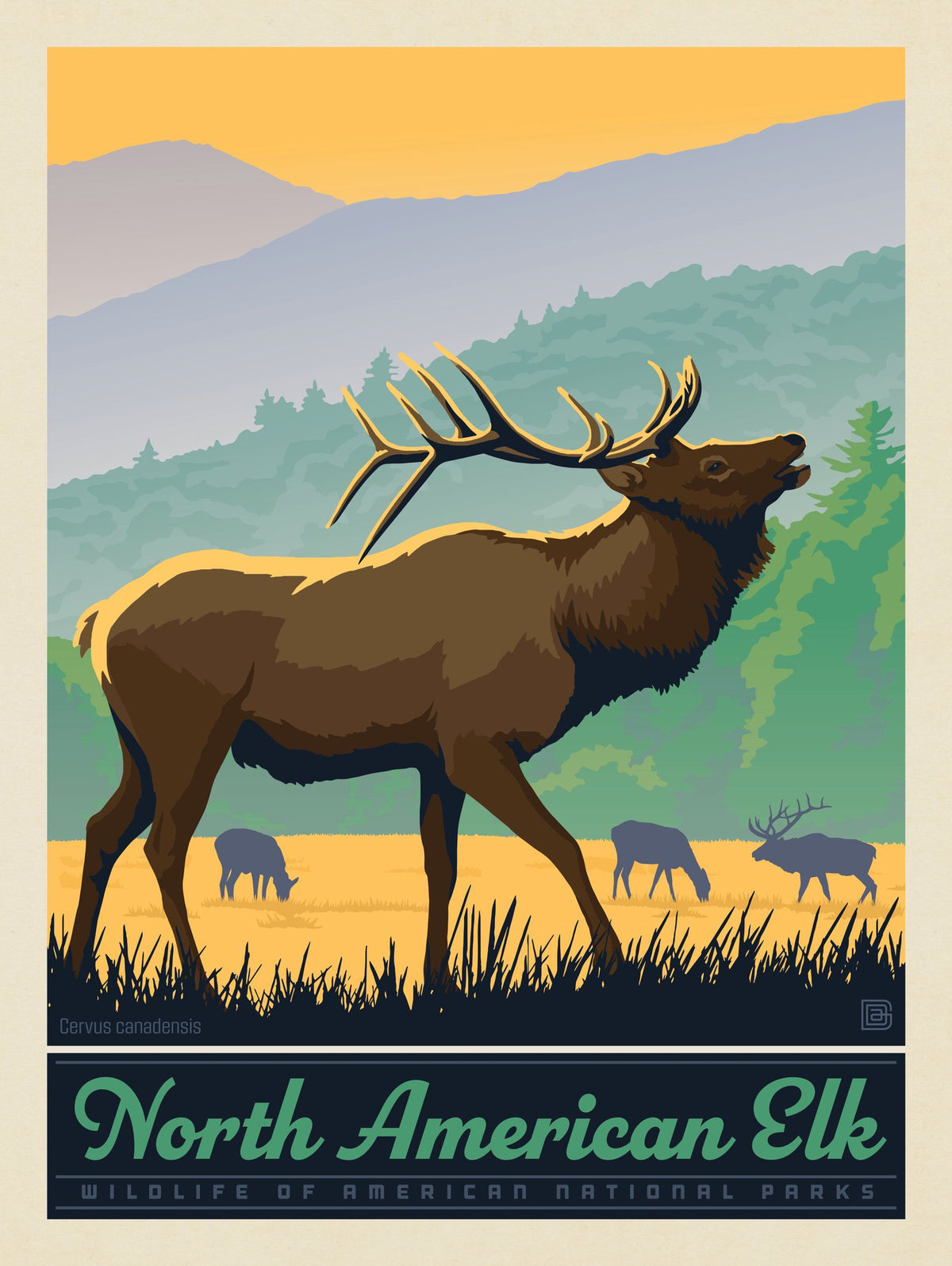 National Parks Wildlife: Elk - Puzzle - Artwork