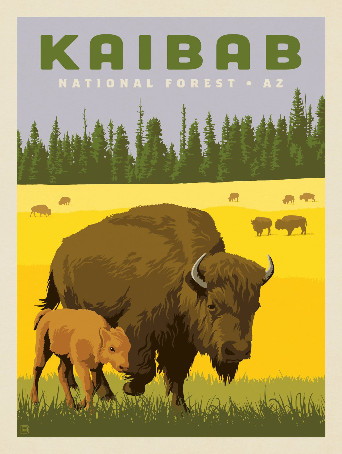 Kaibab National Forest - Puzzle - Artwork