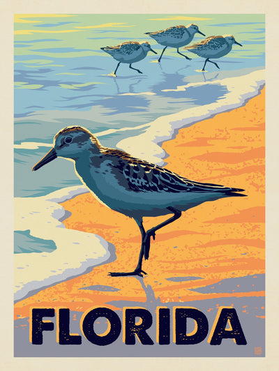 Florida: Sandpipers - Puzzle