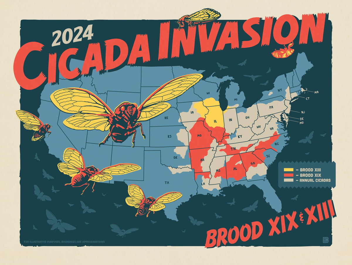 2024 Cicada Invasion Map - Puzzle - Artwork