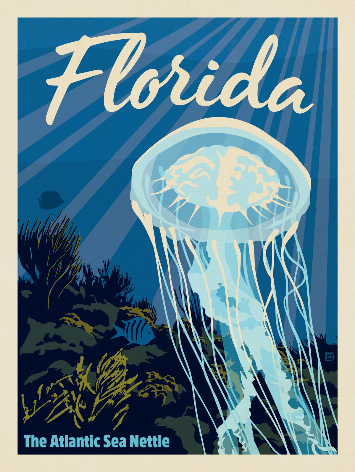 Florida: Jellyfish - Puzzle - Artwork