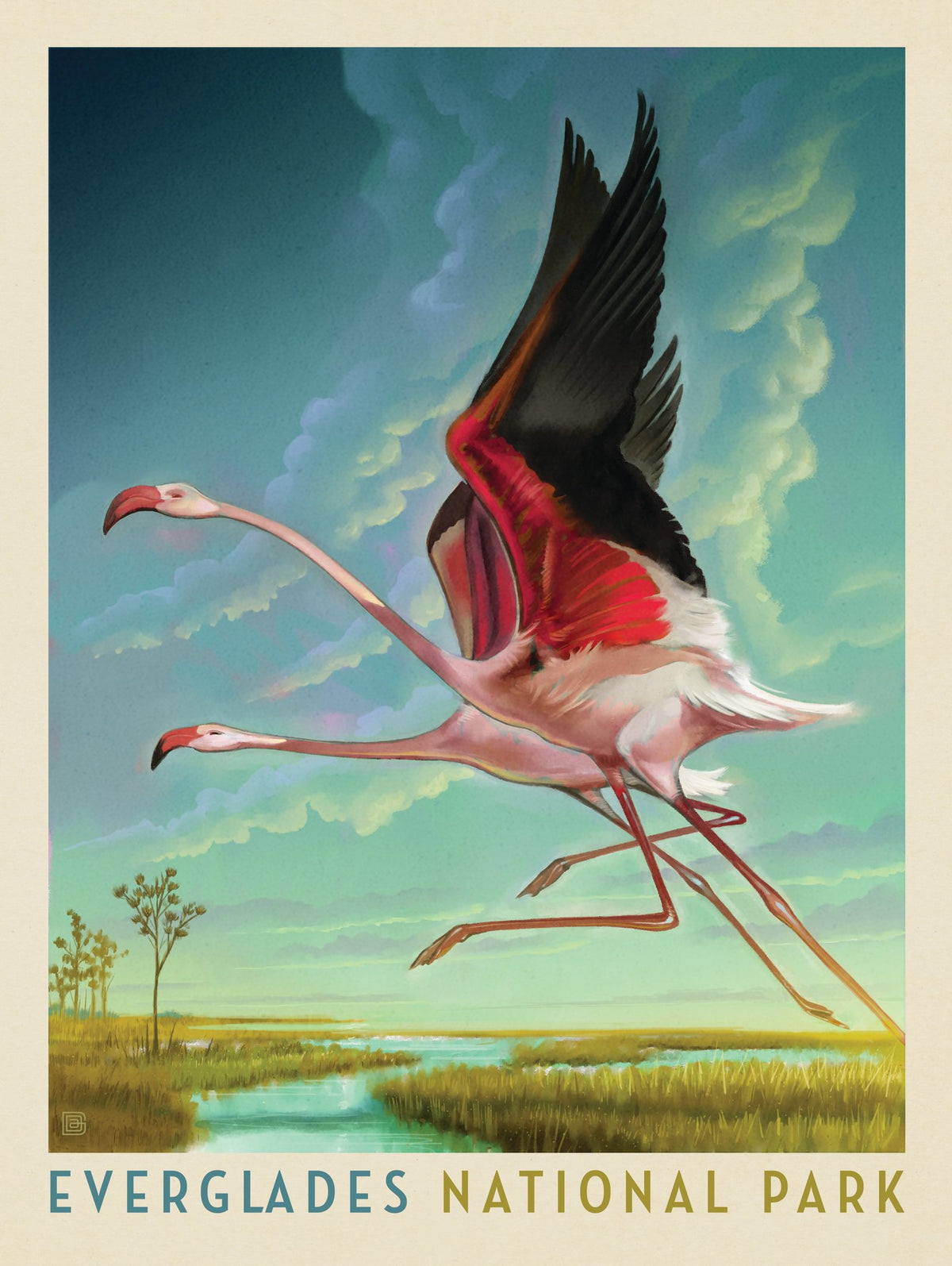 Everglades National Park: Flight Of The Flamingos - Puzzle - Artwork