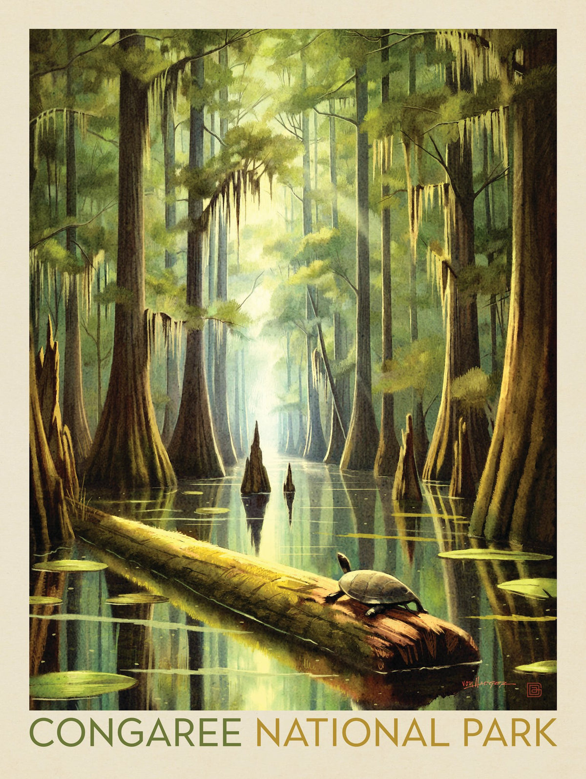 Congaree National Park: Turtle Time - Puzzle - Artwork