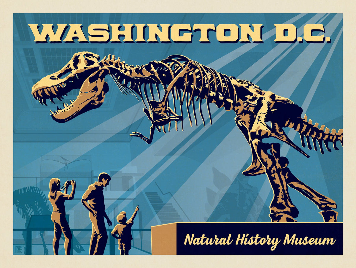 Washington, DC: Museum of Natural History - Puzzle - Artwork