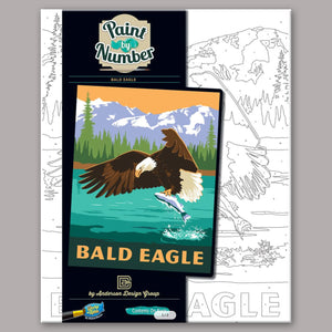 Paint-By-Numbers Kit: Bald Eagle