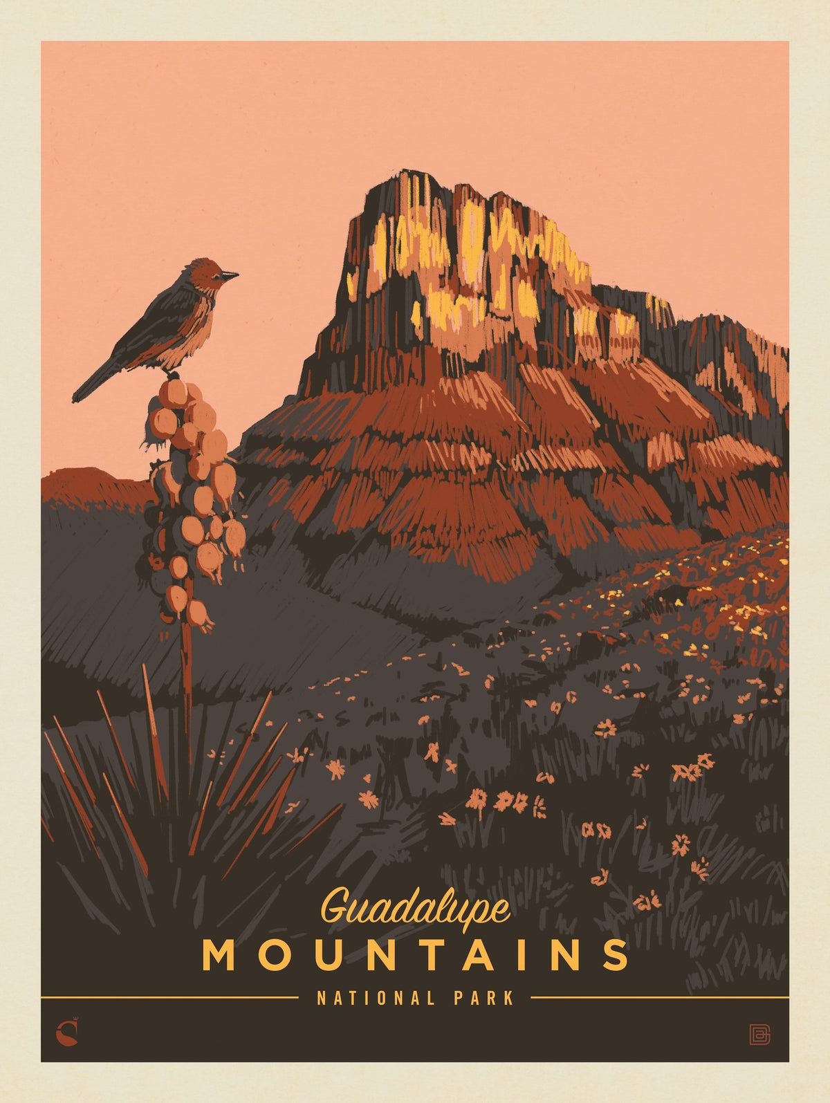 Guadalupe Mountains National Park: Early Bird - Puzzle - Artwork