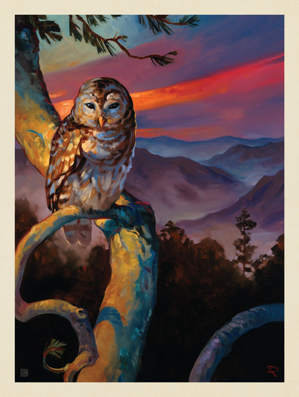 Oil Painting: Barred Owl - Puzzle - Artwork