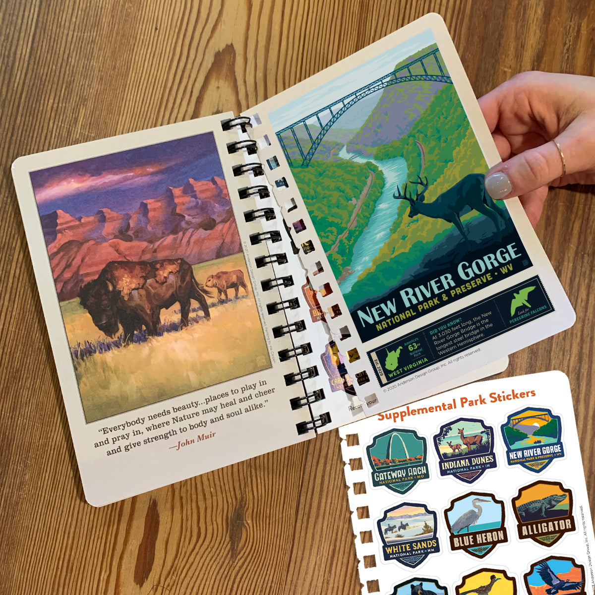 National Park Adventure Guide Book: 4-Park Insert Pages & Sticker Upgrade Set