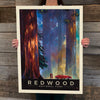 National Parks: Redwood-Among The Giants (Best Seller)