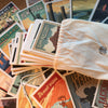 40-Piece Deluxe Grab Bag Postcard Set (Scratch-N-Dent Sale 2025)