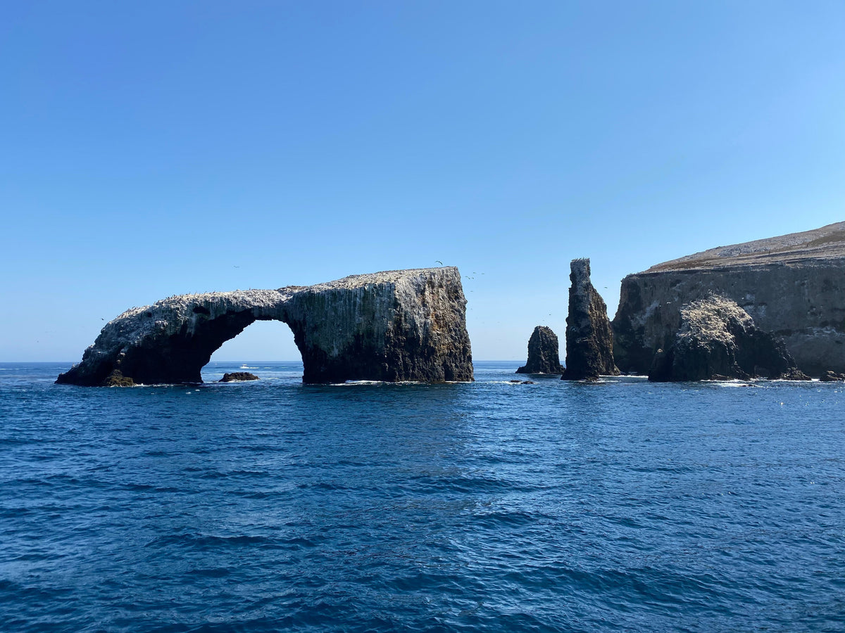 Anderson Design Group Interviews Channel Islands Park Foundation!
