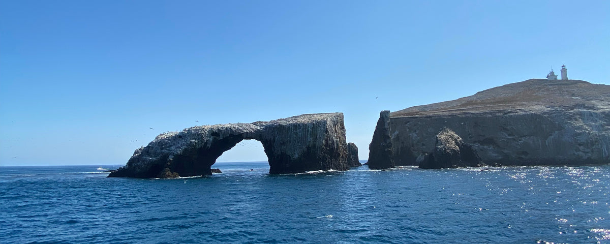 ADG Employees Molly and Ally Explore the National Parks! - Part #1